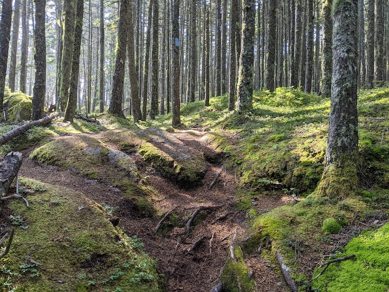 Barred Island Preserve photo 2