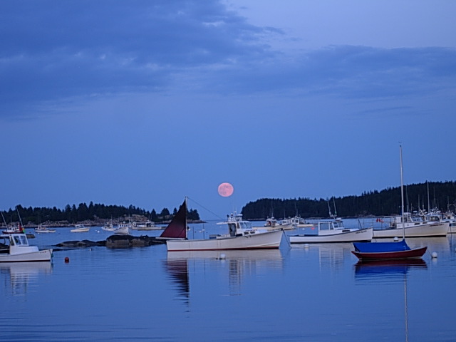 Boyce's Motel photo 3