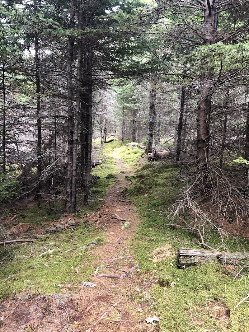 Carrying Place Preserve