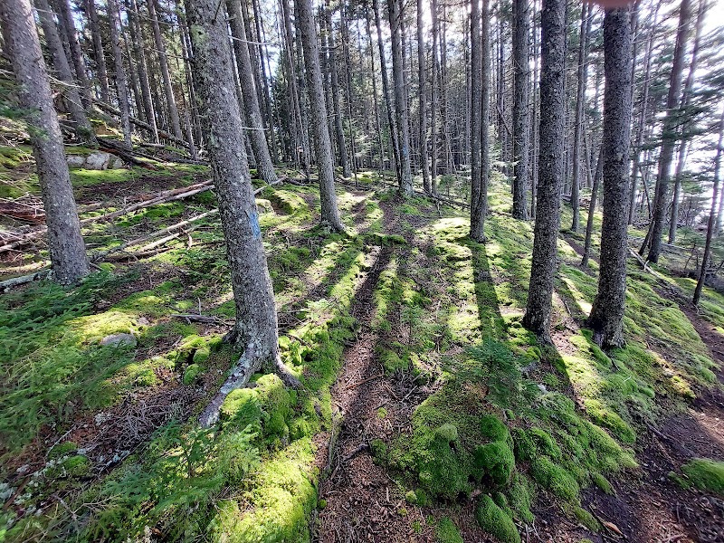 Crystal Cove Preserve photo 2