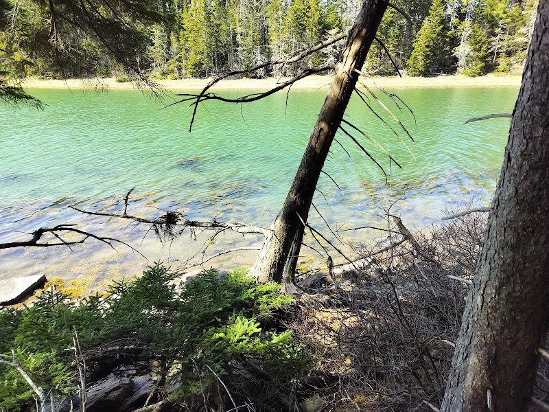 Crystal Cove Preserve photo 4