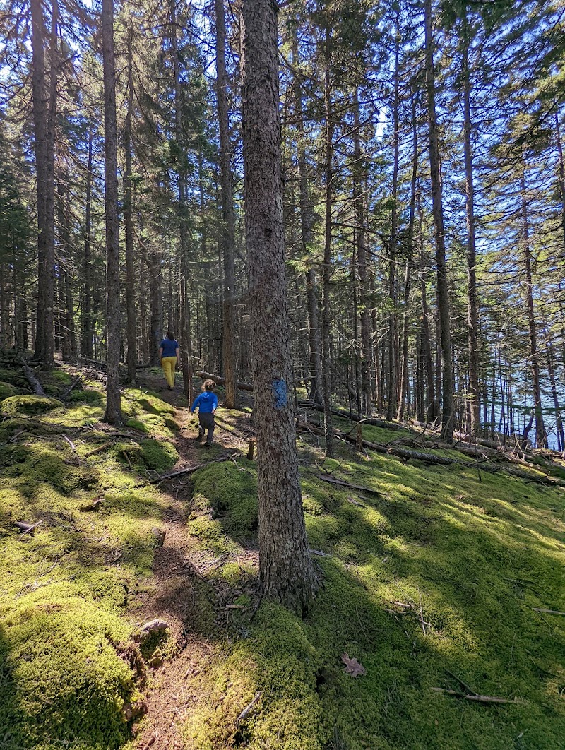 Crystal Cove Preserve photo 5