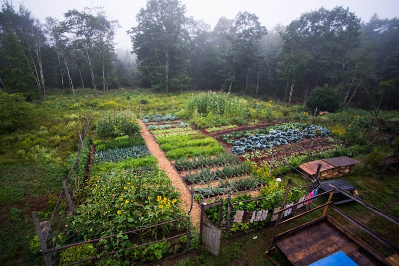 Deer Isle Hostel photo 3