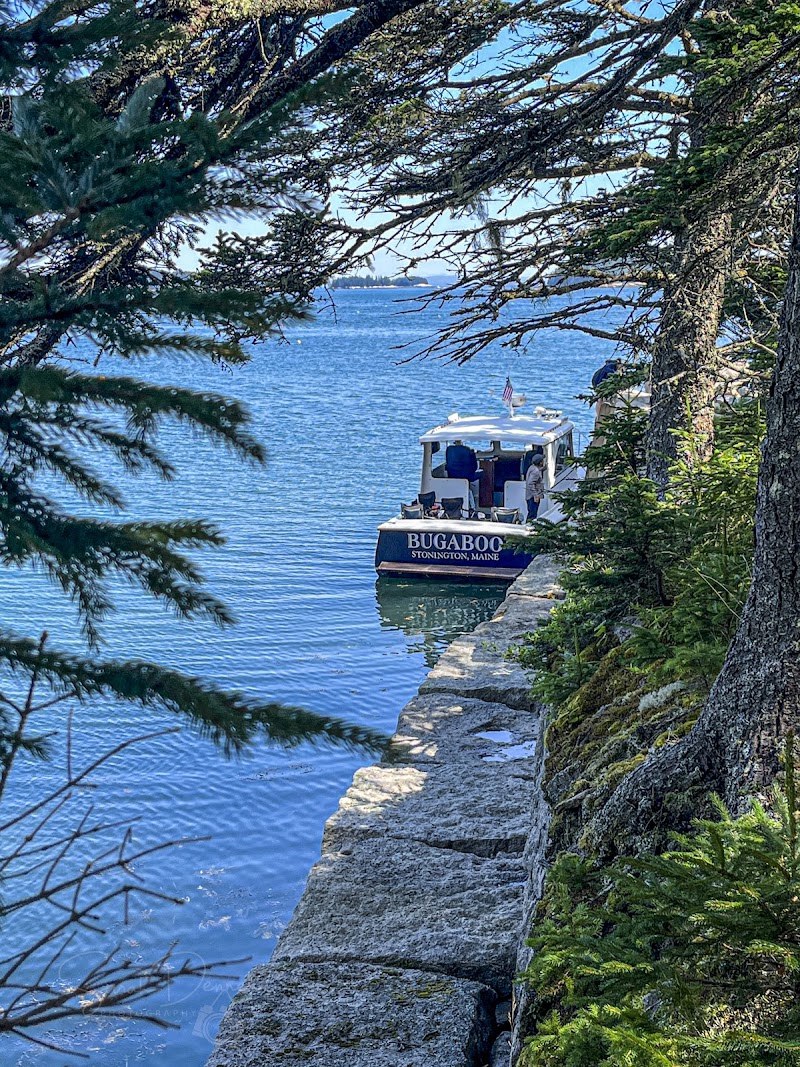 Deer Isle Ocean Tours photo 5