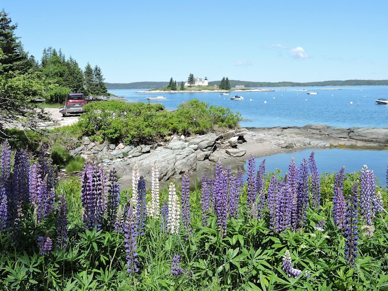 Deer Isle-Stonington Chamber of Commerce photo 3