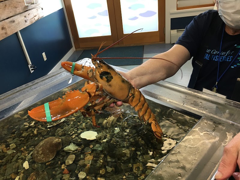 Discovery Wharf at MCCF photo 3