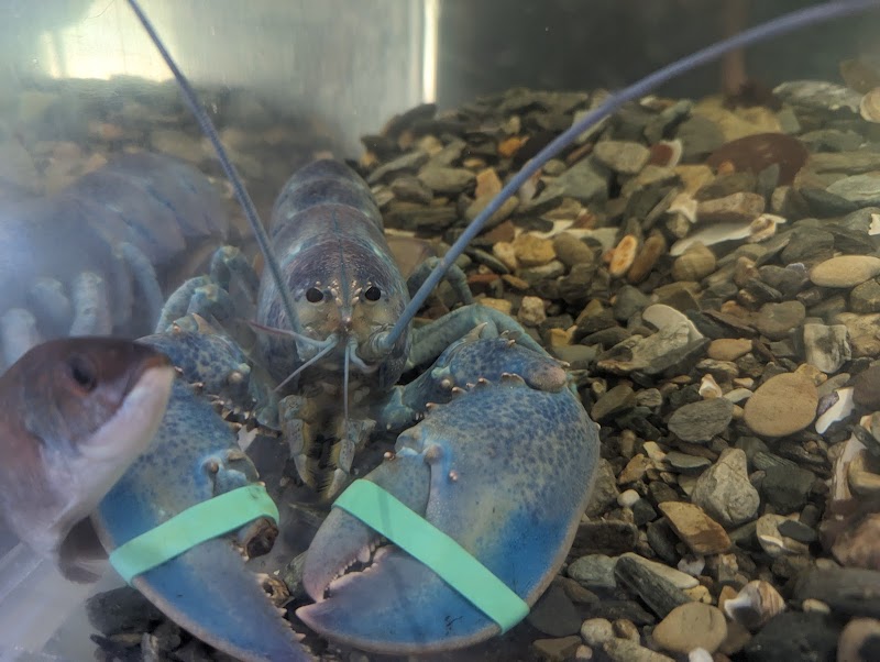 Discovery Wharf at MCCF photo 5