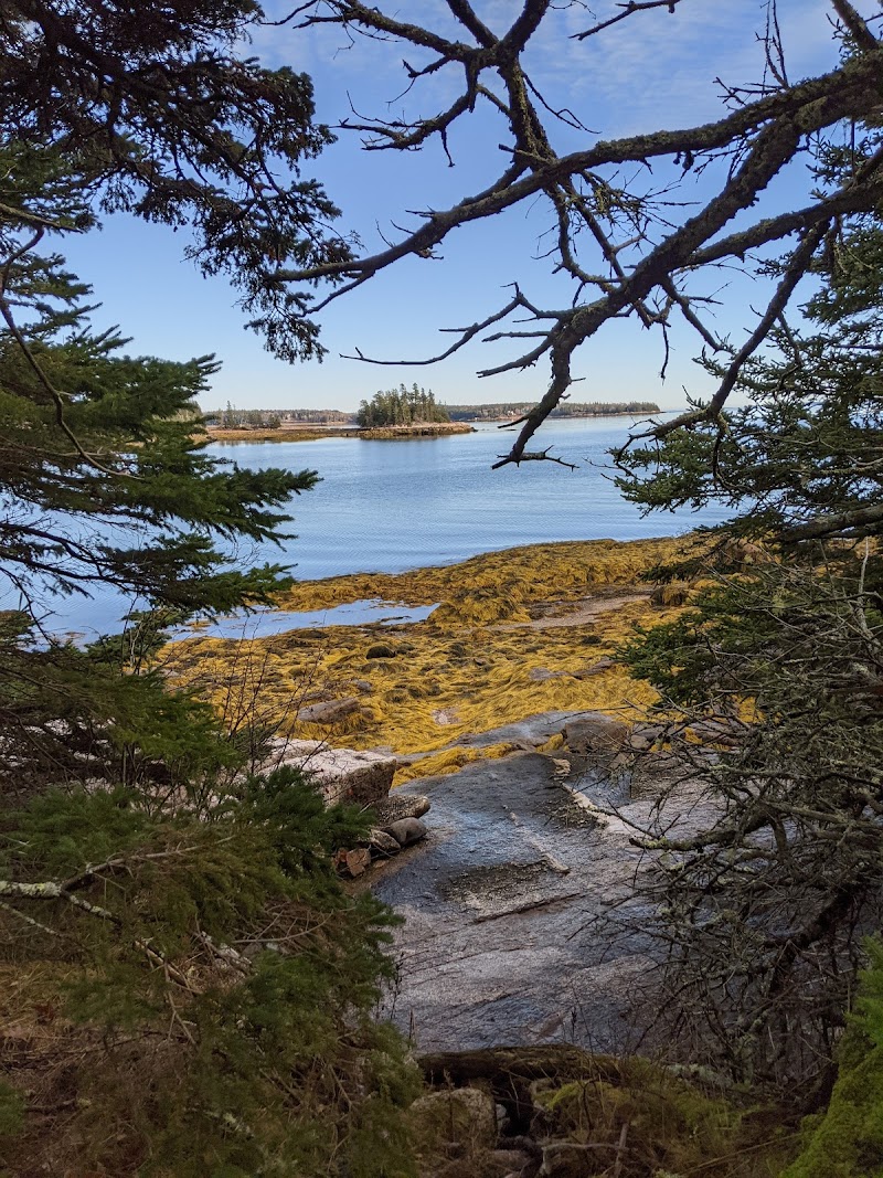 Edgar M. Tennis Preserve photo 2