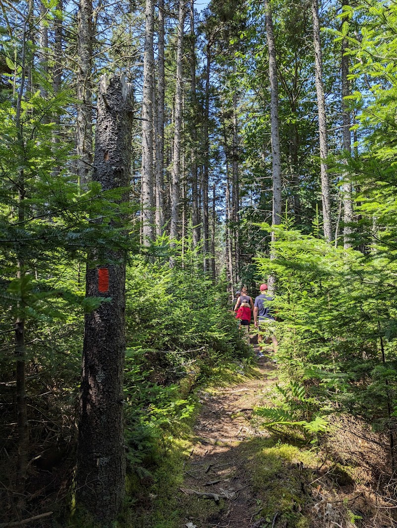 Edgar M. Tennis Preserve photo 4