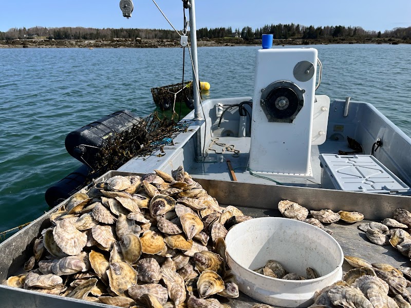 Fish Creek Oysters