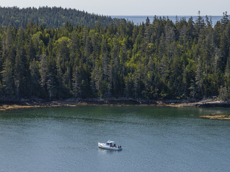 Good Tide Tours photo 3