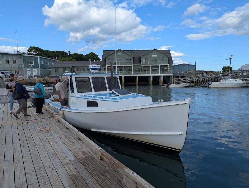 Good Tide Tours photo 5