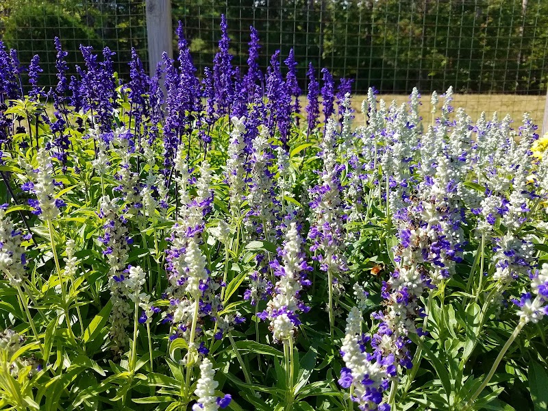 Islewood Farm photo 3