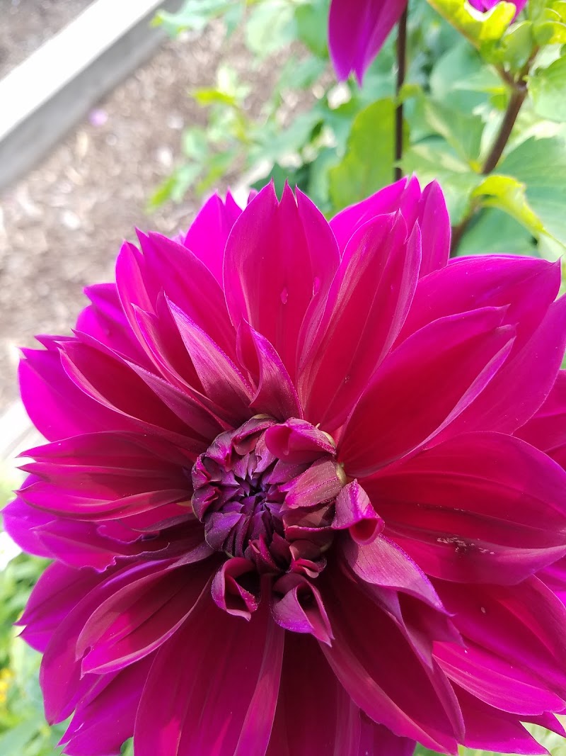 Islewood Farm photo 4