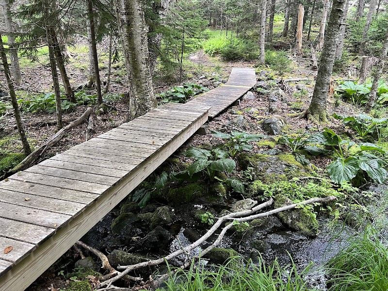 Lisa Tolman Wotton Preserve