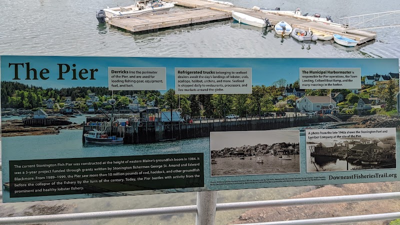 Maine Center for Coastal Fisheries photo 4