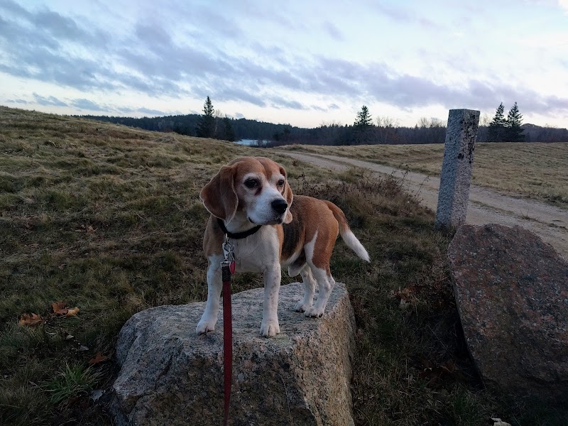 Mariners Memorial Park photo 5