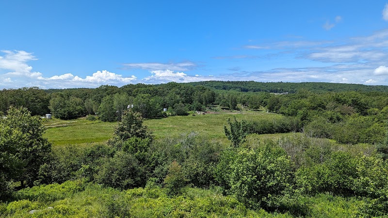 Roaring Lion Farm & Market photo 3