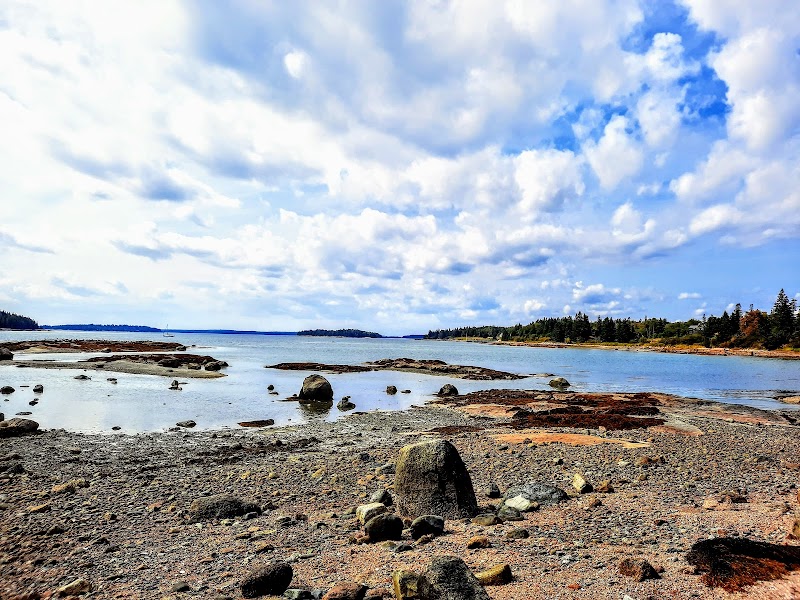 Roaring Lion Farm & Market photo 4