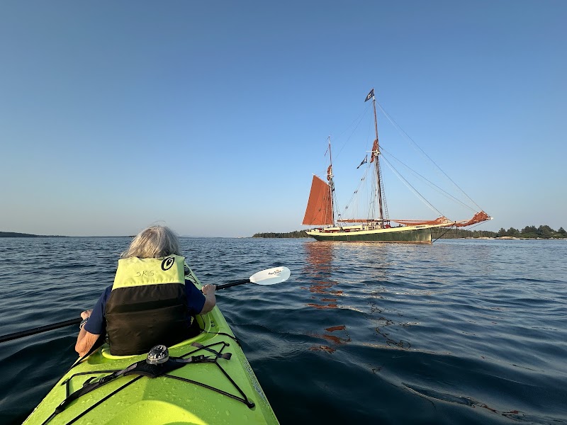 Sea Kayak Stonington photo 3