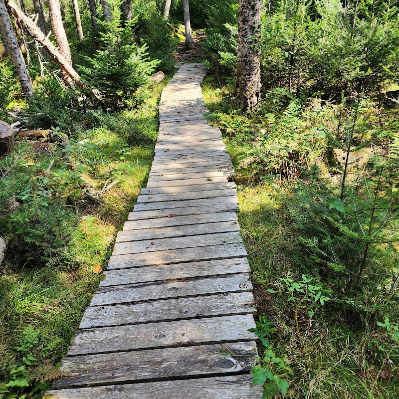 Settlement Quarry Preserve photo 2