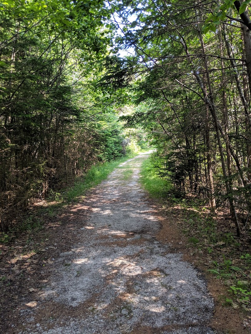 Settlement Quarry Preserve photo 5