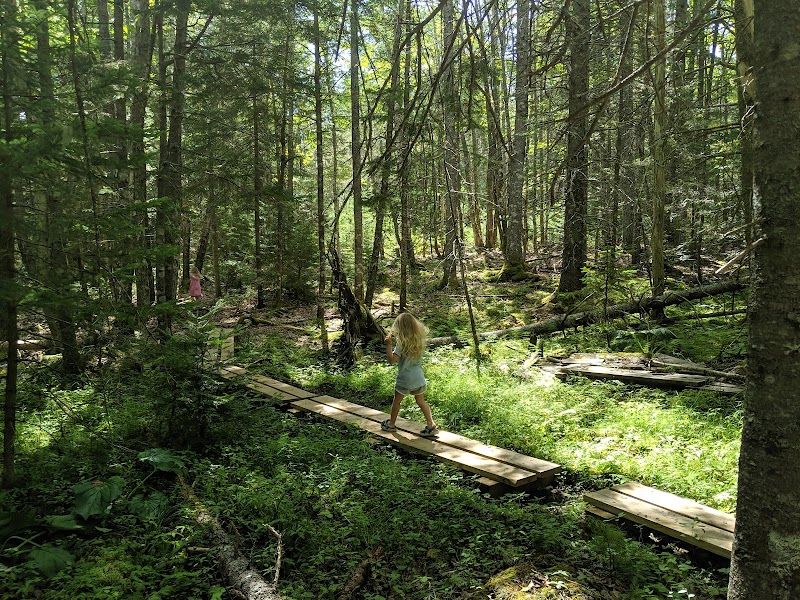 Shore Acres Preserve photo 2