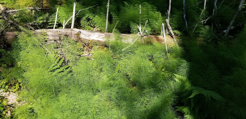 Shore Acres Preserve photo 4