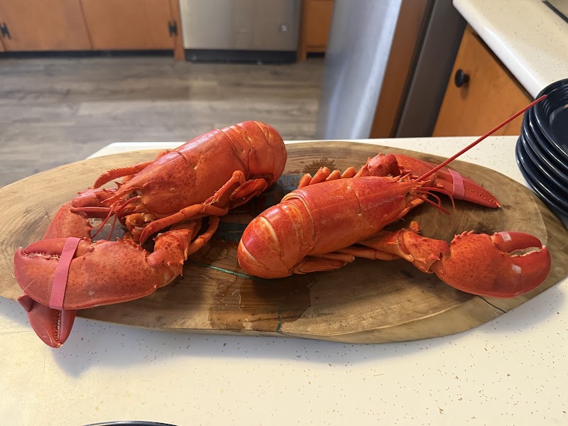 Stonington Lobster Co-Op photo 2