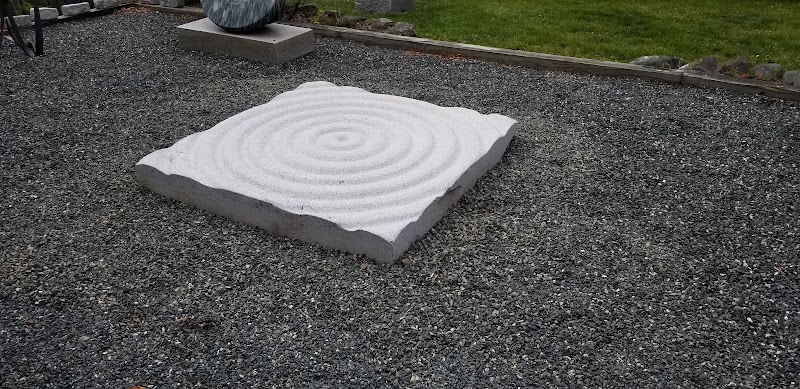 The Turtle Gallery photo 3