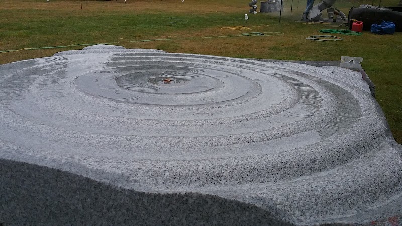 The Turtle Gallery photo 5